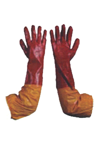 gloves